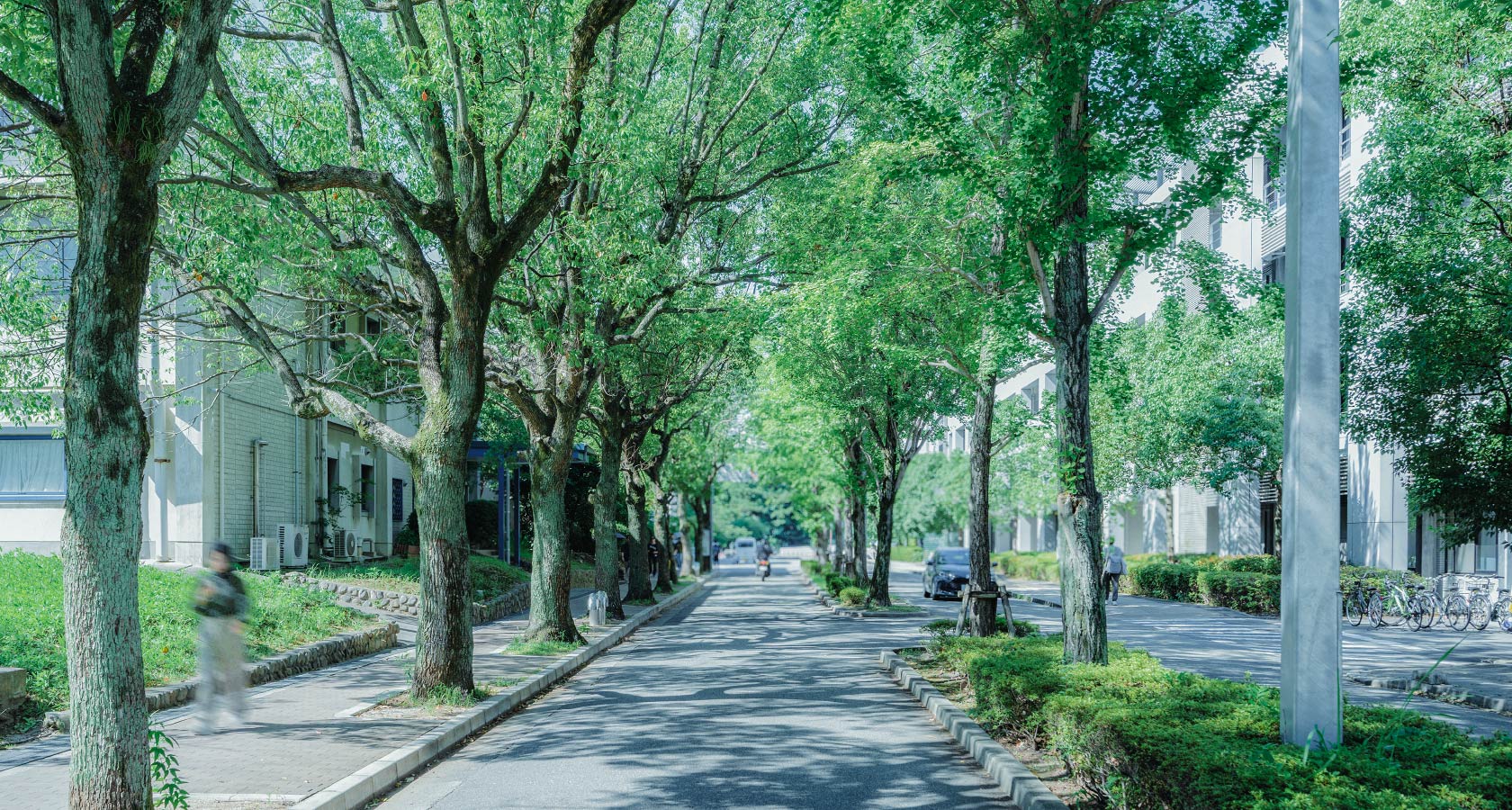 大阪大学豊中キャンパス写真