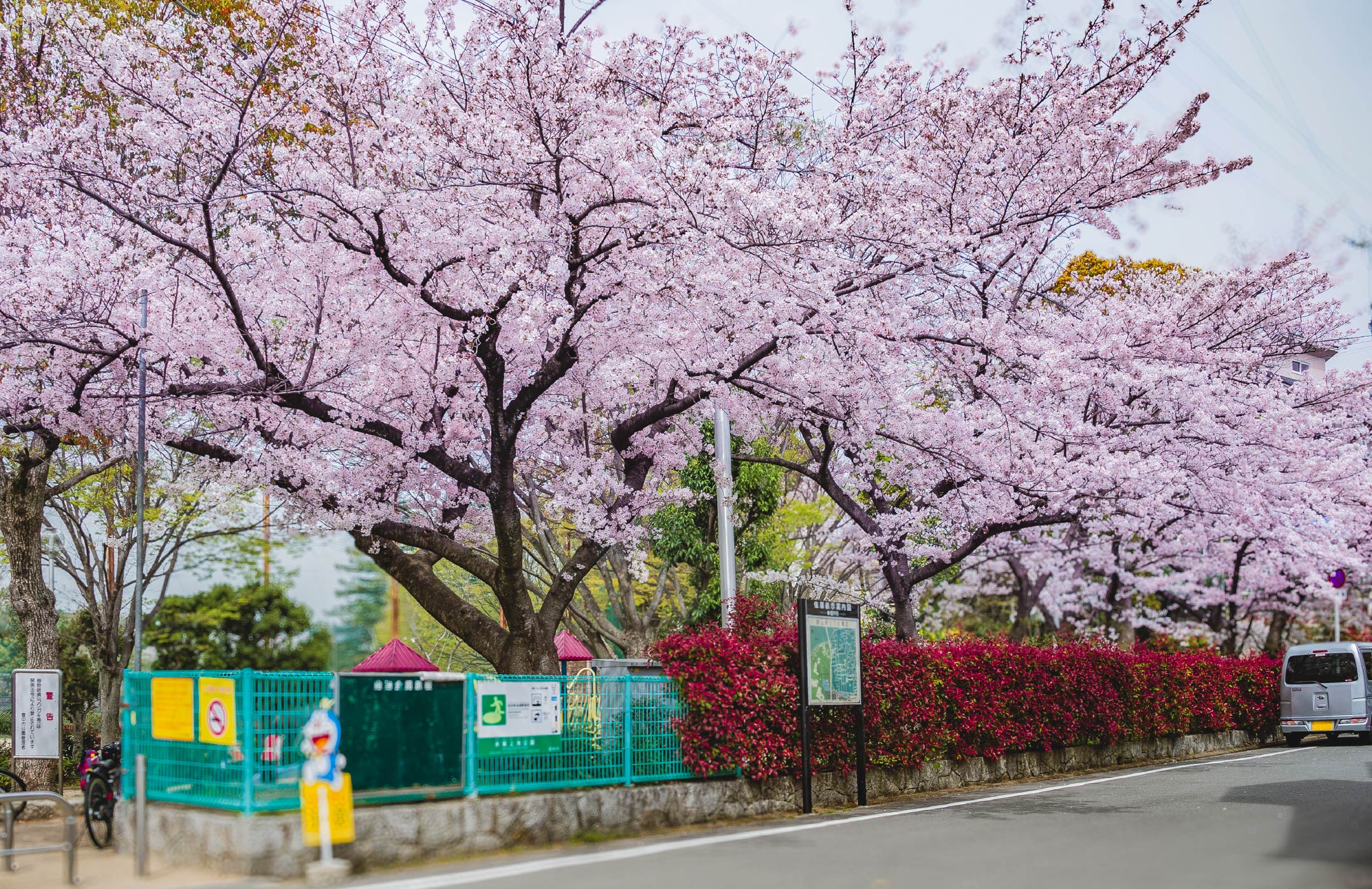 赤坂上池公園（2021年4月撮影）