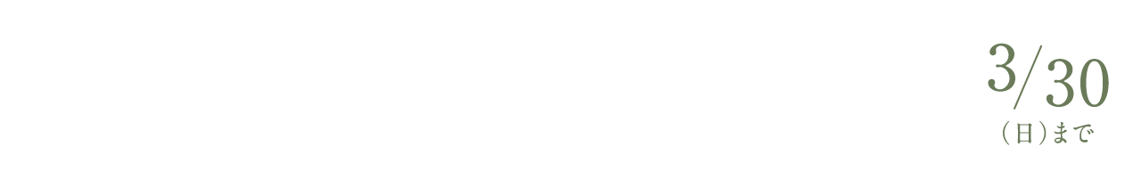 フォレストガーデン豊中宮山町 決算商談会