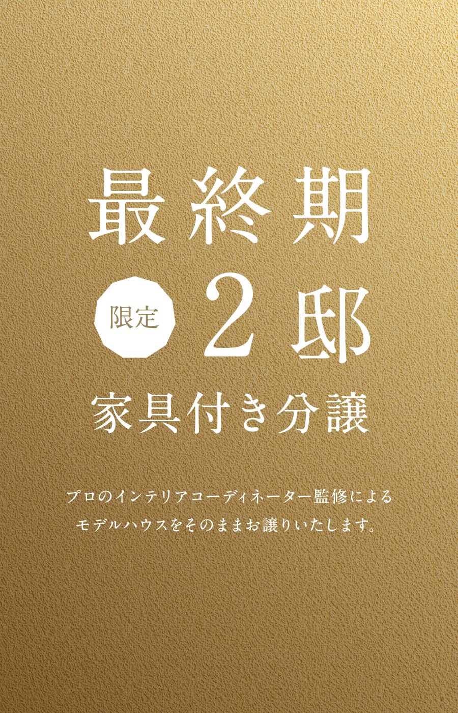 最終期限定2邸家具付き分譲