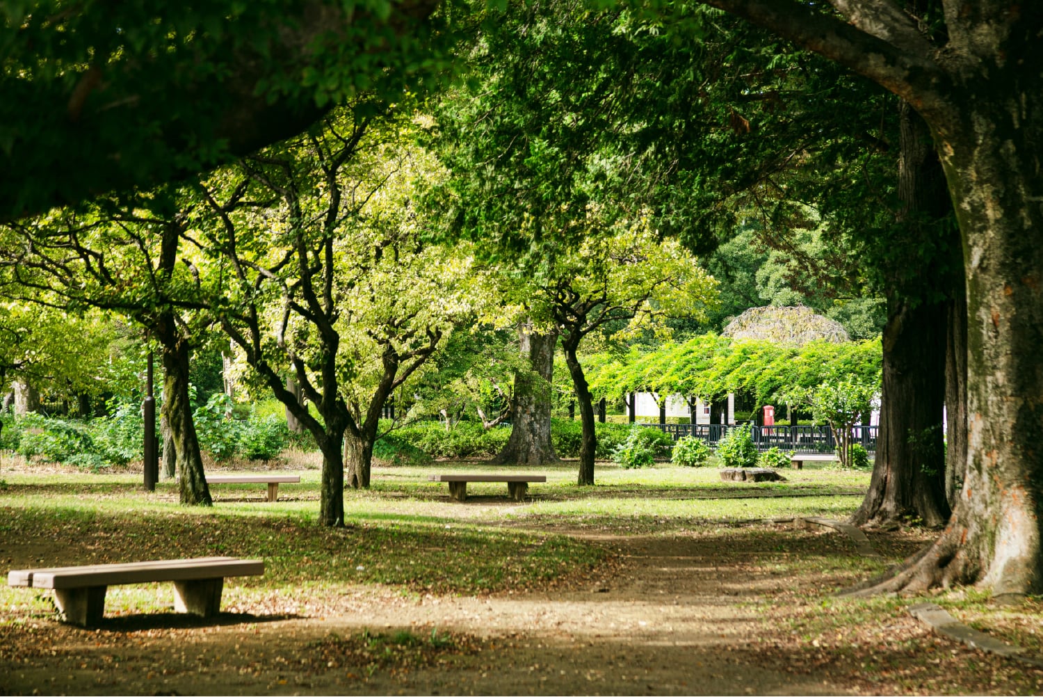 小金井公園