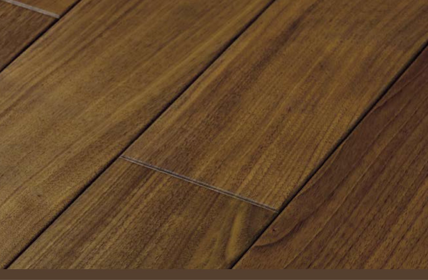 ブラックウォールナット