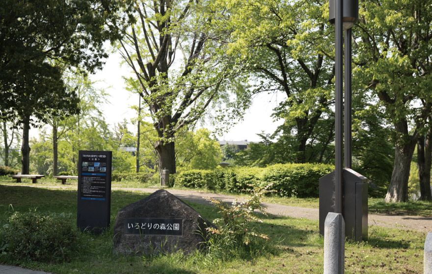 いろどりの森公園