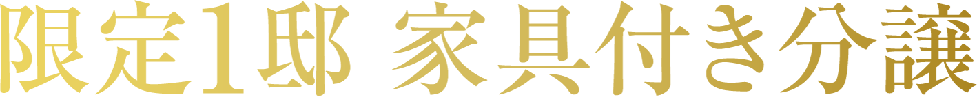 限定1邸 家具付き分譲