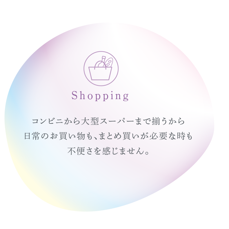 コンビニから大型スーパーまで揃うから日常のお買い物もまとめ買いが必要な時も不便さを感じません。