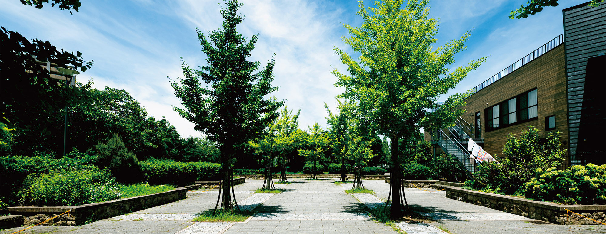 上ケ池公園 徒歩8〜9分（約600〜670m）