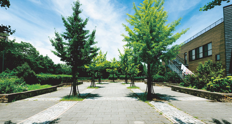 上ケ池公園 徒歩8〜9分（約600〜670m）
