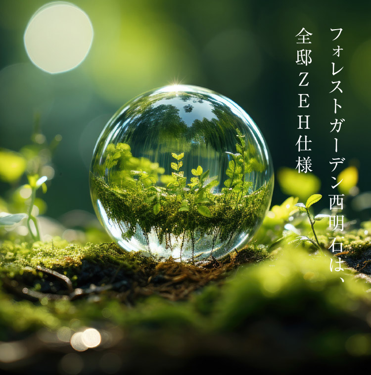 Image Photo