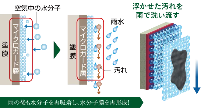 ※イメージ図