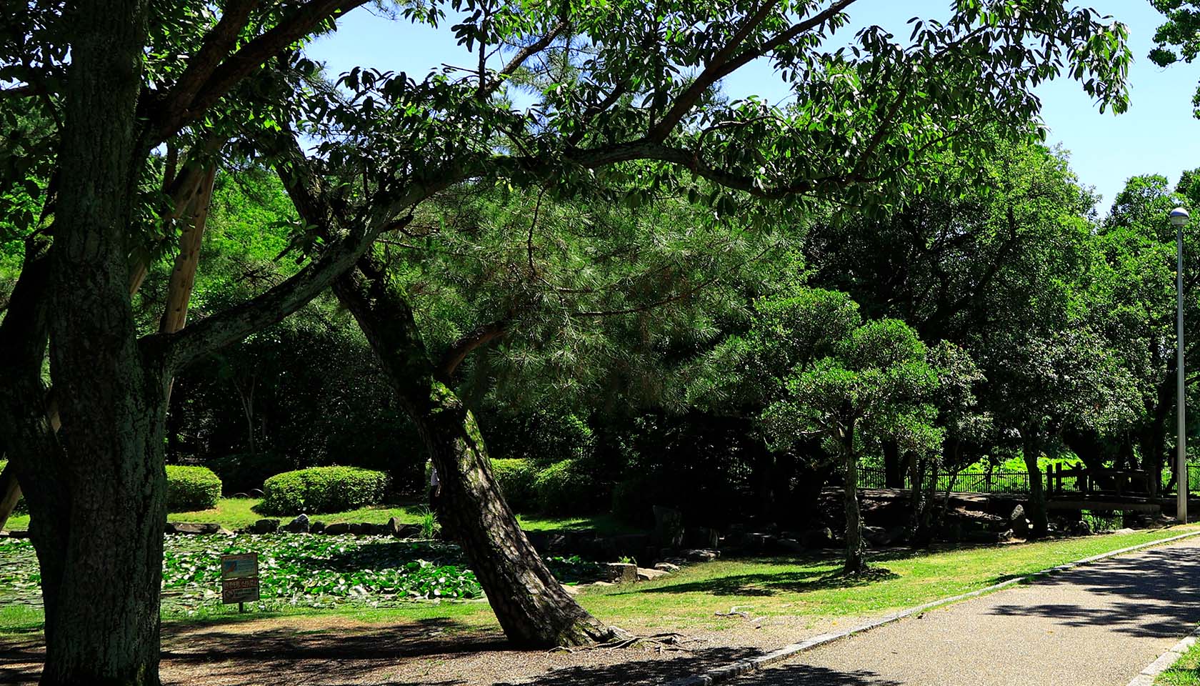 服部緑地公園