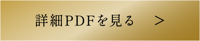 詳細PDFを見る