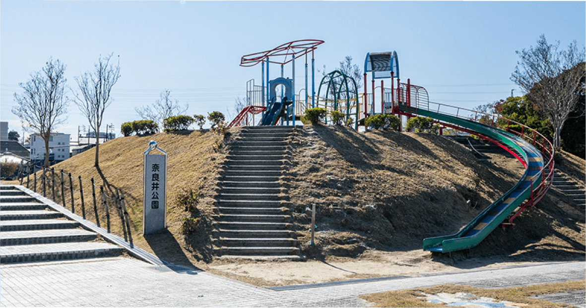 竜美ヶ丘公園の森に集まる野鳥たち 毎日のお散歩の途中に、かわいい姿をぜひ探してみてください。