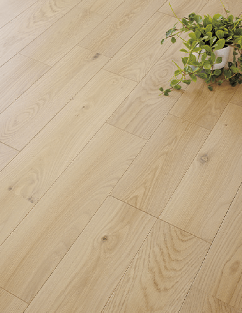 ベールオーク床材使用参考例 