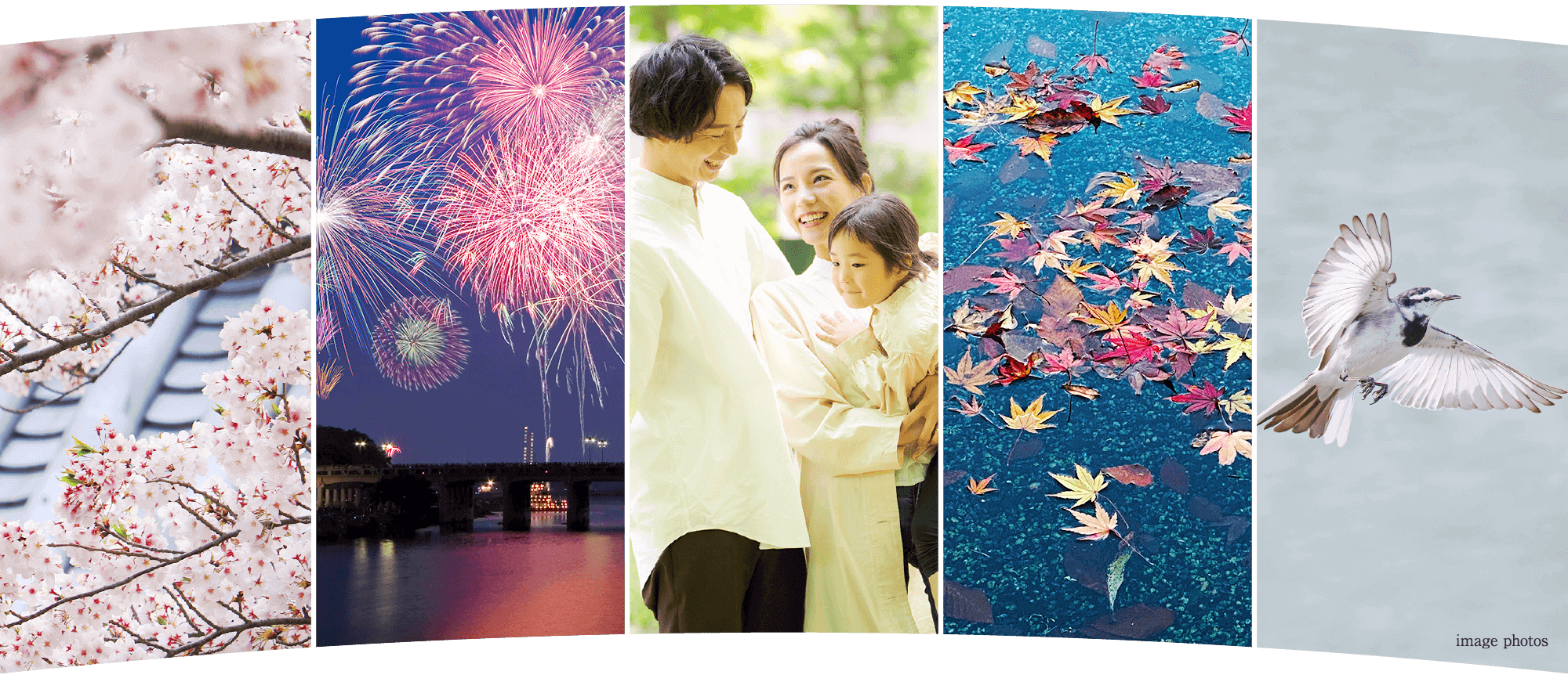 プレディアステージ岡崎竜美の丘