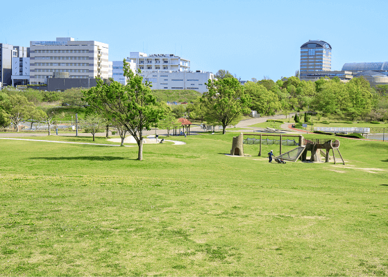 大芝生広場