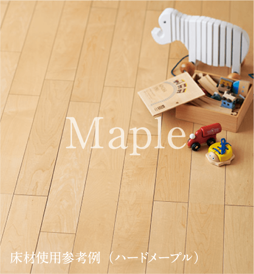 ハードメープル