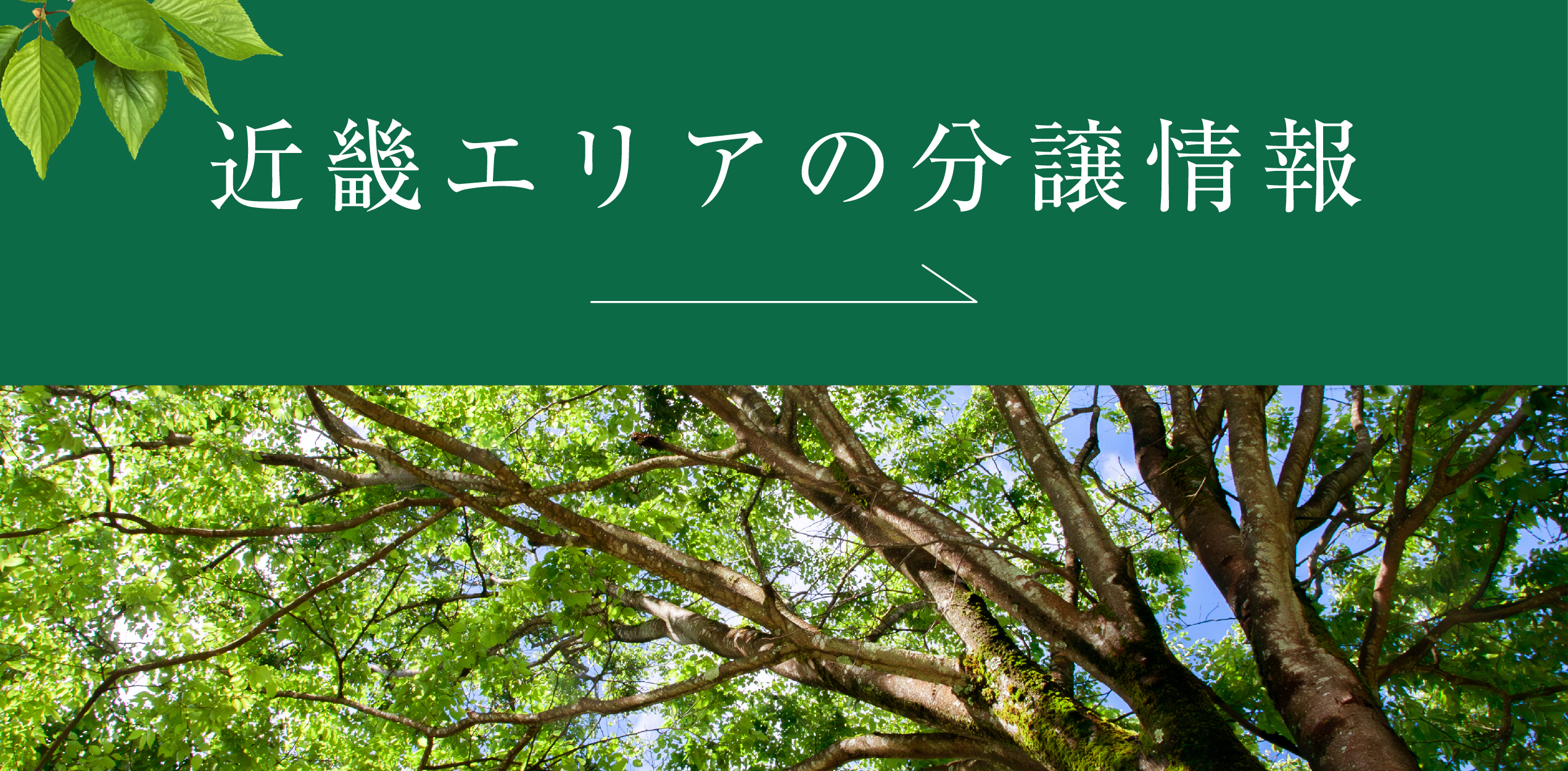 近畿エリアの分譲情報