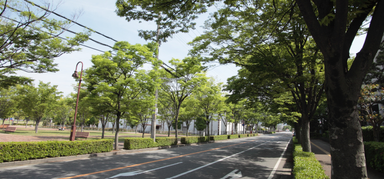 宝塚市役所前、市役所通り徒歩15分（1,150〜1,200m）