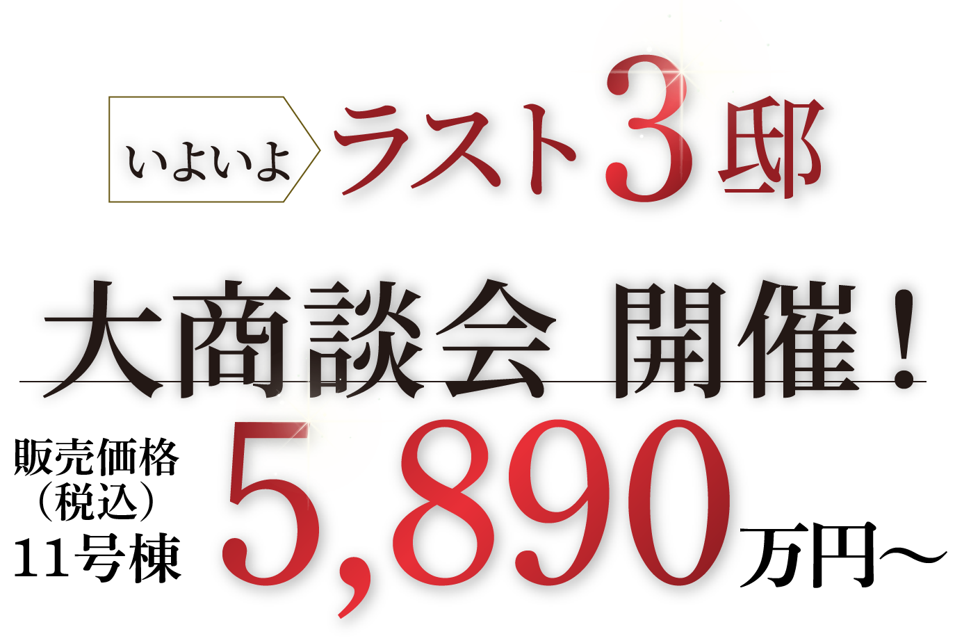 大商談会 開催！