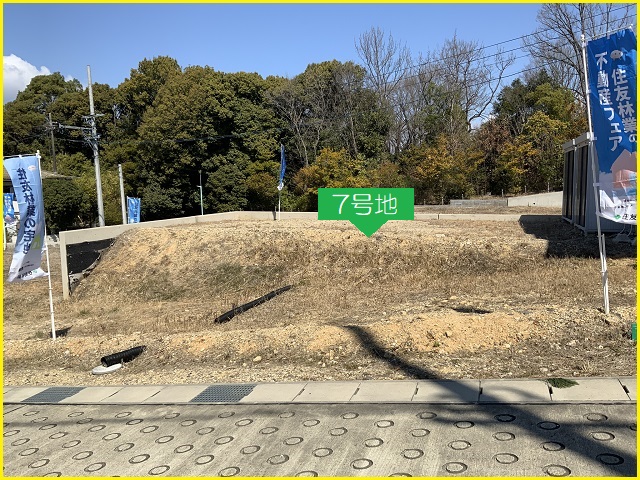 現地 7号地