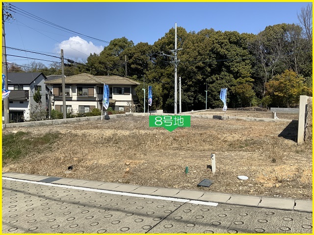 現地 8号地