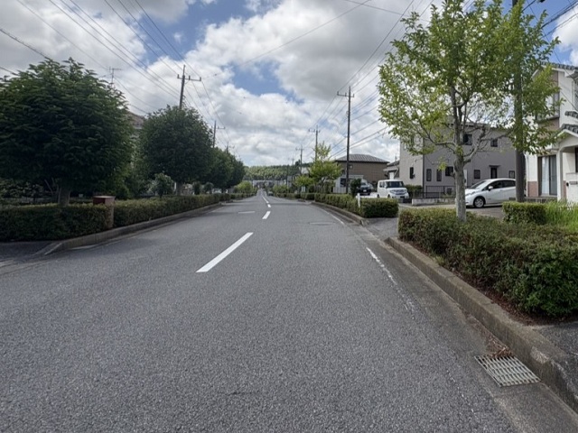 現地 前面道路(北から南に向けて撮影)