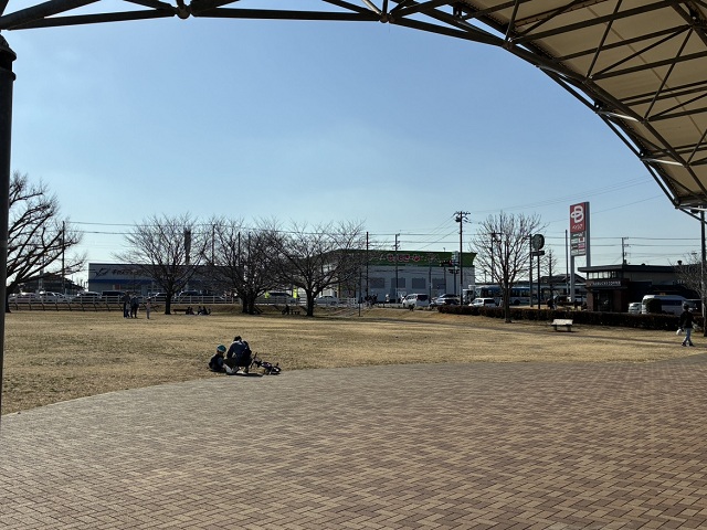 新木戸大銀杏公園