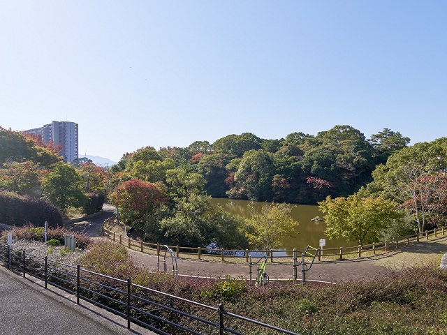 山の神池公園