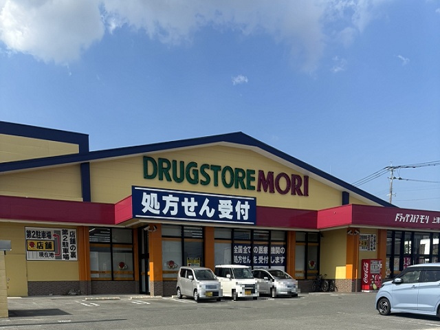 ドラックストアもり上津店