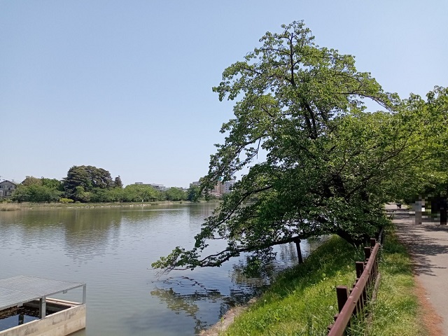 五百淵公園