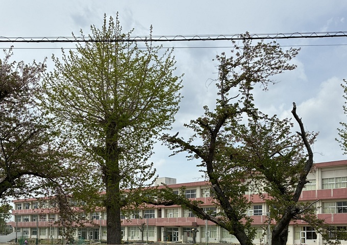 水戸市立水戸第4中学校