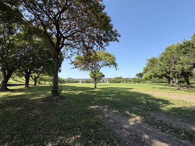 天降川ふるさとの川河川公園