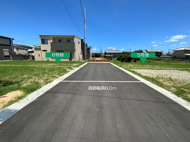 現地(5号地・6号地)