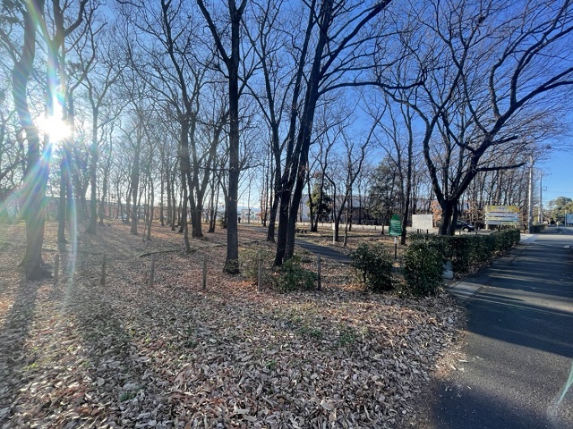 市民の森