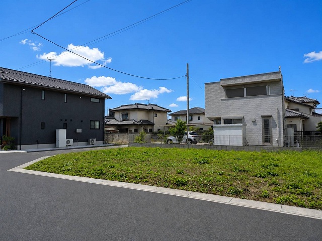 現地 1号地②(2026年7月撮影)