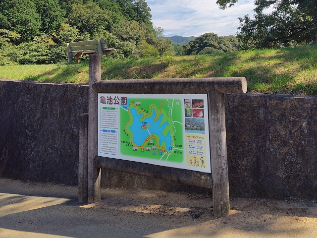 亀池公園