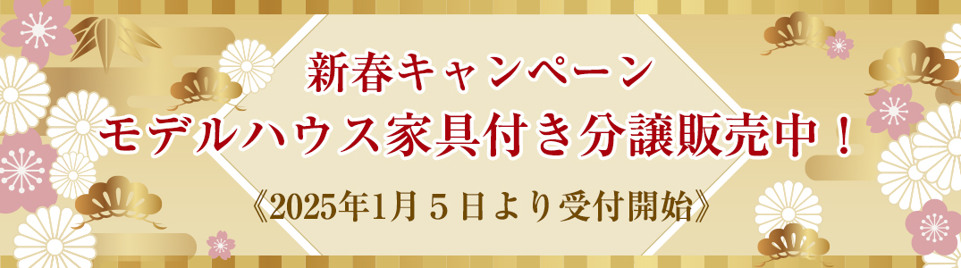 新春キャンペーン モデルハウス家具付き分譲販売中！