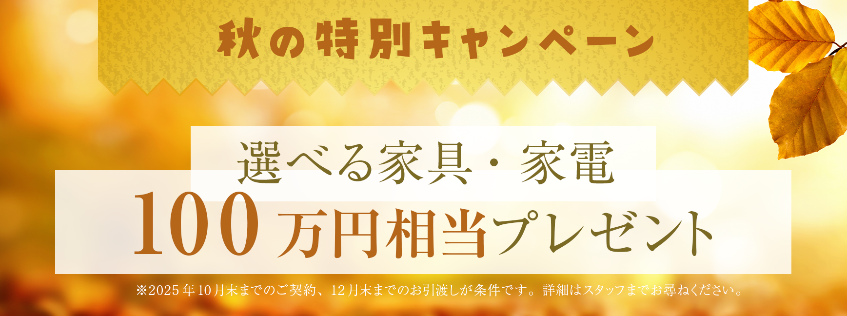 秋の特別キャンペーン