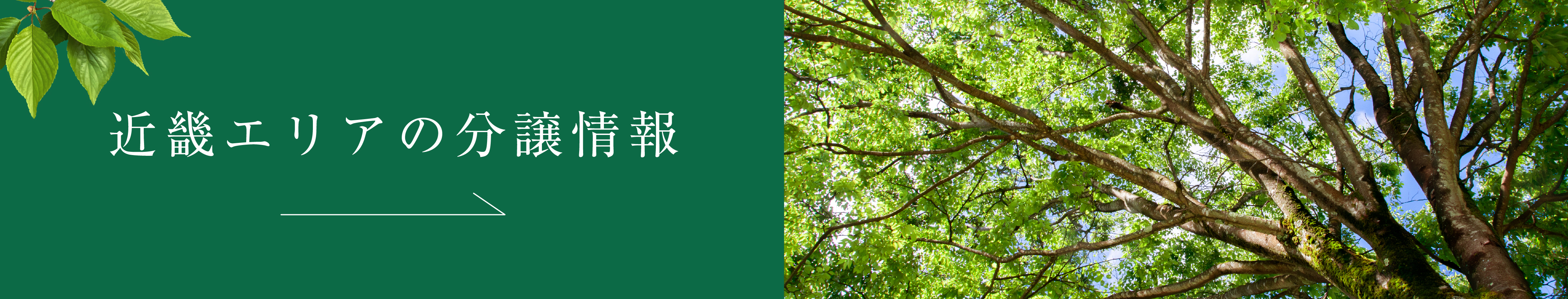 近畿エリアの分譲情報