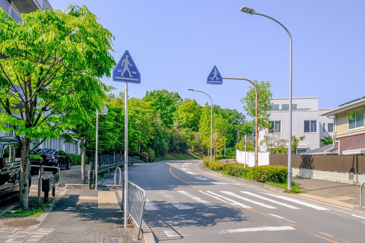 千里緑地と新千里西町ユリノキ並木
