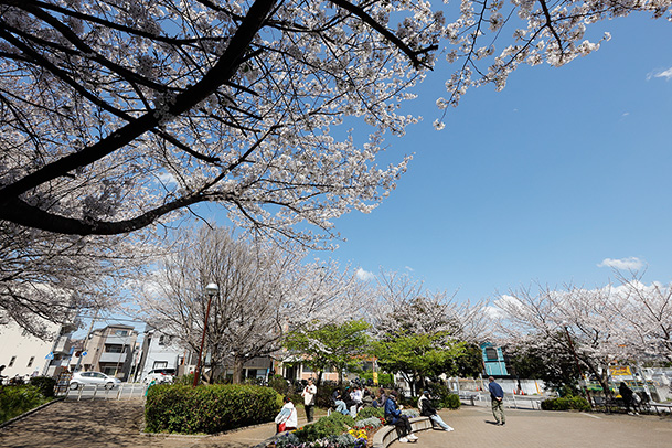 image photo