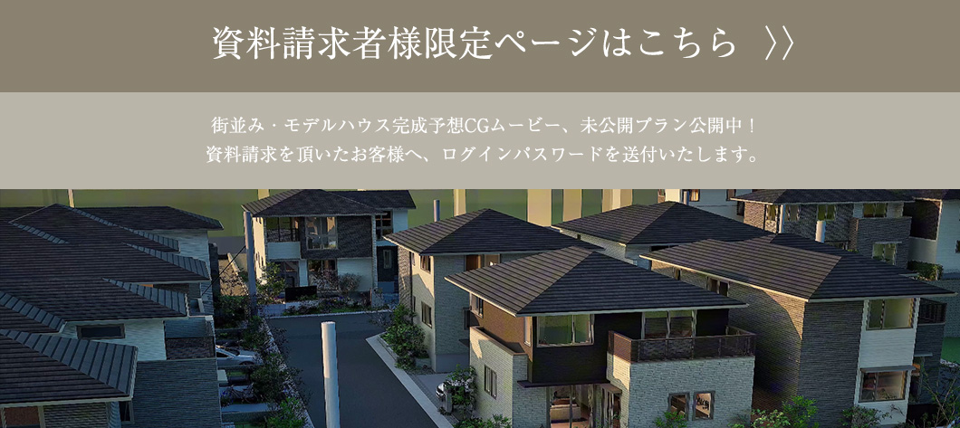限定ページ