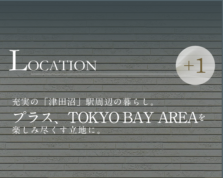 現地周辺航空写真