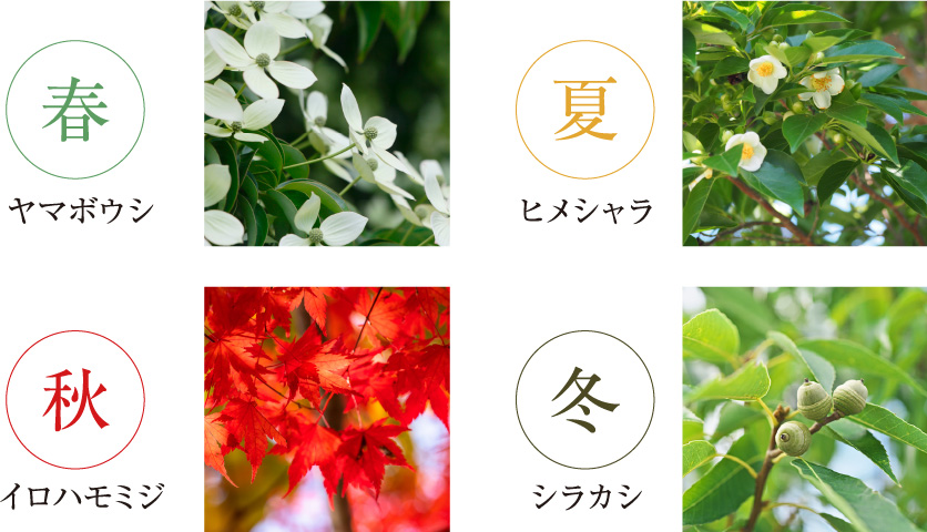 春夏秋冬