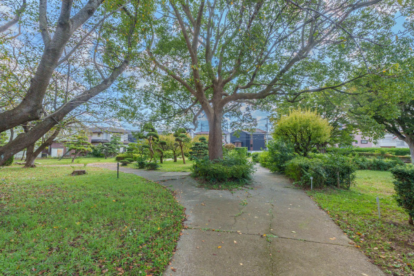 大和田新田樹木見本園