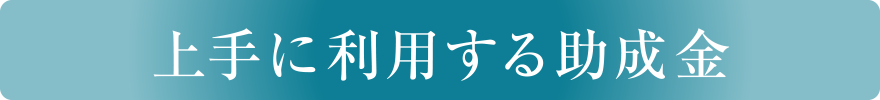 上手に利用する助成金