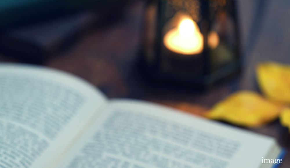 読書 イメージ写真