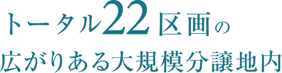 大規模分譲地内