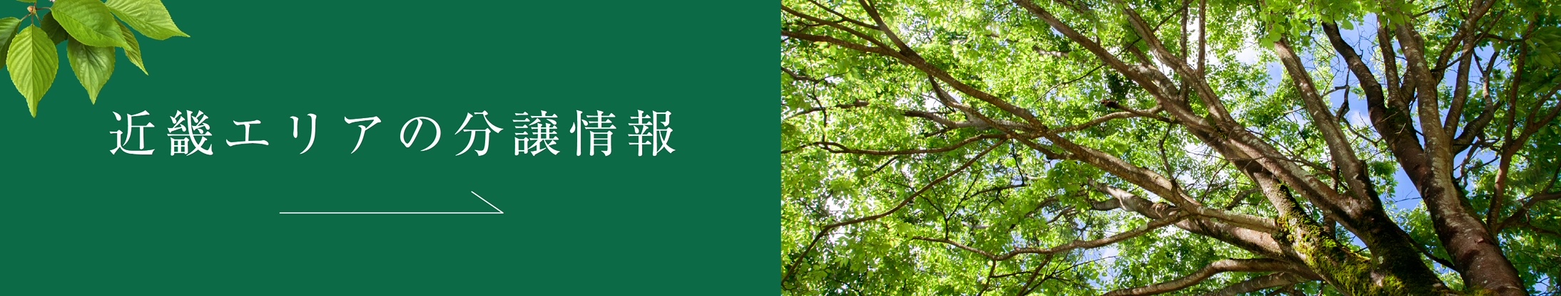 近畿エリアの分譲情報