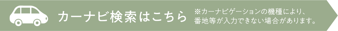 カーナビ検索はこちら